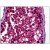 Human Testis: Formalin-Fixed, Paraffin-Embedded (FFPE)