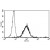 A typical staining pattern with the B-E3 monoclonal antibody of granulocytes