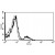 A typical staining pattern with the B-E5 monoclonal antibody of lymphocytes