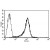 A typical staining pattern with the B-F23 monoclonal antibody of KG-1a cell line