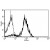 A typical staining pattern with the B-T7 monoclonal antibody of monocytes