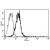 A typical staining pattern with the B-E47 monoclonal antibody of Eahy 926 cell line