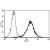 A typical staining pattern with the B-E47 monoclonal antibody of Eahy cell line