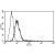A typical staining pattern with the B-R6 monoclonal antibody of U266 cell line