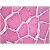 Human Skeletal Muscle: Formalin-Fixed, Paraffin-Embedded (FFPE)