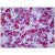 Human Liver: Formalin-Fixed, Paraffin-Embedded (FFPE)
