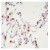 Formalin-Fixed, Paraffin-Embedded Human lung stained with Surfactant antibody Cat.-No. AM00341SU-N using peroxidase conjugate and DAB chromogen. Note the cytoplasmic staining of type II pneumocytes.