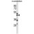 ACTR1A Antibody (Center) (Cat. #AP50073PU-N) western blot analysis in mouse cerebellum tissue lysates (35µg/lane).This demonstrates the ACTR1A antibody detected the ACTR1A protein (arrow).
