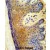 Formalin-fixed and paraffin-embedded human skin tissue reacted with PSMD13 Antibody (C-term), which was peroxidase-conjugated to the secondary antibody, followed by DAB staining. This data demonstrates the use of this antibody for immunohistochemistry; clinical relevance has not been evaluated.