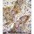 ANR39 Antibody (C-term) (Cat. #AP50194PU-N)immunohistochemistry analysis in formalin fixed and paraffin embedded human breast carcinoma followed by peroxidase conjugation of the secondary antibody and DAB staining.This data demonstrates the use of ANR39 Antibody (C-term) for immunohistochemistry. Clinical relevance has not been evaluated.