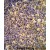 ANR44 Antibody (Center) (Cat. #AP50195PU-N) immunohistochemistry analysis in formalin fixed and paraffin embedded human tonsil tissue followed by peroxidase conjugation of the secondary antibody and DAB staining. This data demonstrates the use of the ANR44 Antibody (Center) for immunohistochemistry. Clinical relevance has not been evaluated.