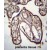 ARFIP1 Antibody (Center) (Cat. #AP12992c)immunohistochemistry analysis in formalin fixed and paraffin embedded human placenta tissue followed by peroxidase conjugation of the secondary antibody and DAB staining.This data demonstrates the use of ARFIP1 Antibody (Center) for immunohistochemistry. Clinical relevance has not been evaluated.