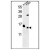 Western blot analysis in K562 cell line and Mouse liver tissue lysates (35 ug/lane) using RPL37 Antibody (C-term) Cat.-No. AP53719PU-N. RPL37 (arrow) was detected using the purified Pab.