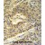 ATP5A1 Antibody (C-term) (Cat. #AP50297PU-N) IHC analysis in formalin fixed and paraffin embedded lung carcinoma followed by peroxidase conjugation of the secondary antibody and DAB staining. This data demonstrates the use of the ATP5A1 Antibody (C-term) for immunohistochemistry. Clinical relevance has not been evaluated.