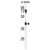 Western blot analysis of B4GALT2 Antibody (C-term) (Cat. #AP50331PU-N) in mouse testis tissue lysates (35µg/lane). B4GALT2 (arrow) was detected using the purified Pab.