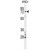 BARD1 Antibody (N-term) (Cat. #AP50339PU-N) western blot analysis in WiDr cell line lysates (35µg/lane).This demonstrates the BARD1 antibody detected the BARD1 protein (arrow).