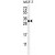 C1QL4 Antibody (N-term) (Cat. #AP50565PU-N) western blot analysis in MCF-7 cell line lysates (35µg/lane).This demonstrates the C1QL4 antibody detected the C1QL4 protein (arrow).
