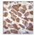 Immunohistochemistry analysis in Formalin Fixed, Paraffin Embedded Human skeletal muscle stained with SAMD7 Antibody (Center) Cat.-No AP53792PU-N followed by peroxidase conjugation of the secondary antibody and DAB staining. This data demonstrates the use of SAMD7 Antibody (Center) for immunohistochemistry. Clinical relevance has not been evaluated.