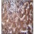 Immunohistochemistry analysis in Formalin Fixed, Paraffin Embedded Human liver tissue stained with SCLT1 Antibody (C-term) Cat.-No AP53813PU-N followed by peroxidase conjugation of the secondary antibody and DAB staining. This data demonstrates the use of SCLT1 Antibody (C-term) for immunohistochemistry. Clinical relevance has not been evaluated.