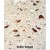 CB018 antibody (C-term) (Cat. #AP50737PU-N) immunohistochemistry analysis in formalin fixed and paraffin embedded human brain tissue followed by peroxidase conjugation of the secondary antibody and DAB staining. This data demonstrates the use of the CB018 antibody (C-term) for immunohistochemistry. Clinical relevance has not been evaluated.