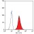Staining of human peripheral blood granulocytes with Mouse anti Human CD11b (SM1068P).