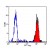 Staining of human peripheral blood monocytes probed with Mouse anti Human CD14 (SM1066P)