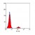 Staining of human peripheral blood lymphocytes with Mouse anti Human CD21-RPE (SM1785R/RT)