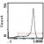 FLOW CYTOMETRY ANALYSIS Cell Source: Thymus Percentage of cells stained above control: 92.8% (Cat. No. CL007F)