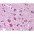 Brain, cortex: Formalin-Fixed Paraffin-Embedded (FFPE)