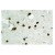 Immunohistochemistry analysis of Histone H2B Antibody (Cat.-No AP01181PU-N) in paraffin-embedded human brain tissue.