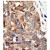 Formalin-fixed and paraffin-embedded human cancer tissue reacted with the primary antibody, which was peroxidase-conjugated to the secondary antibody, followed by DAB staining. This data demonstrates the use of this antibody for immunohistochemistry; clinical relevance has not been evaluated.