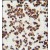 Formalin-fixed and paraffin-embedded human lymph tissue reacted with ALOX15 antibody (C-term), which was peroxidase-conjugated to the secondary antibody, followed by DAB staining.