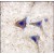 Formalin-fixed and paraffin-embedded human brain tissue reacted with BRAF Antibody (S445), which was peroxidase-conjugated to the secondary antibody, followed by DAB staining.