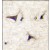 Formalin-fixed and paraffin-embedded human brain tissue reacted with DAAM2 Antibody (N-term), which was peroxidase-conjugated to the secondary antibody, followed by DAB staining.