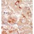 Formalin-fixed and paraffin-embedded human cancer tissue reacted with the primary antibody, which was peroxidase-conjugated to the secondary antibody, followed by DAB staining.