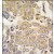 Formalin-fixed and paraffin-embedded human lung carcinoma tissue reacted with MAPK4 antibody (N-term), which was peroxidase-conjugated to the secondary antibody, followed by DAB staining.