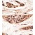 Formalin-fixed and paraffin-embedded human cancer tissue reacted with the primary antibody, which was peroxidase-conjugated to the secondary antibody, followed by AEC staining. This data demonstrates the use of this antibody for immunohistochemistry. Clinical relevance has not been evaluated.