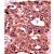 Formalin-fixed and paraffin-embedded human cancer tissue reacted with the primary antibody, which was peroxidase-conjugated to the secondary antibody, followed by AEC staining. This data demonstrates the use of this antibody for immunohistochemistry; clinical relevance has not been evaluated.