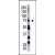 Western Blot analysis of anti-USP22 (N-term) Pab (Cat.#AP12041PU-N) to detect USP22 in mouse brain tissue lysate.