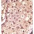 Formalin-fixed and paraffin-embedded human cancer tissue reacted with the primary antibody, which was peroxidase-conjugated to the secondary antibody, followed by AEC staining.