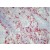 Immunohistochemical staining of Rat Lung Frozen  Section uing BM4083 antibody Clone IIE11.