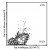 Immunofluorescent Staining: BALB/c splenocytes were double-stained with Rat anti-Mouse Lambda-R-PE and Rat anti-Mouse CD19-FITC (Clone 6D5). Small lymphocytes were ten gated and analyzed using a FACScan(TM) flow cytometer (BDIS, San Jose,CA). Amount Used: </= 0.2 µg/10e6 cells.