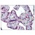 Placenta: Formalin-Fixed Paraffin-Embedded (FFPE)