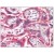 Placenta: Formalin-Fixed Paraffin-Embedded (FFPE)