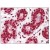 AP08814SU-N staining Histone H2B in Formalin-Fixed, Paraffin-Embedded Human Breast tissue by Immunohistochemistry.