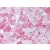 Liver: Formalin-Fixed Paraffin-Embedded (FFPE)