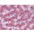Liver: Formalin-Fixed, Paraffin-Embedded (FFPE)
