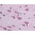 Brain, cortex: Formalin-Fixed, Paraffin-Embedded (FFPE)