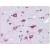 Brain, cortex: Formalin-Fixed, Paraffin-Embedded (FFPE)