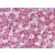 Liver: Formalin-Fixed, Paraffin-Embedded (FFPE)